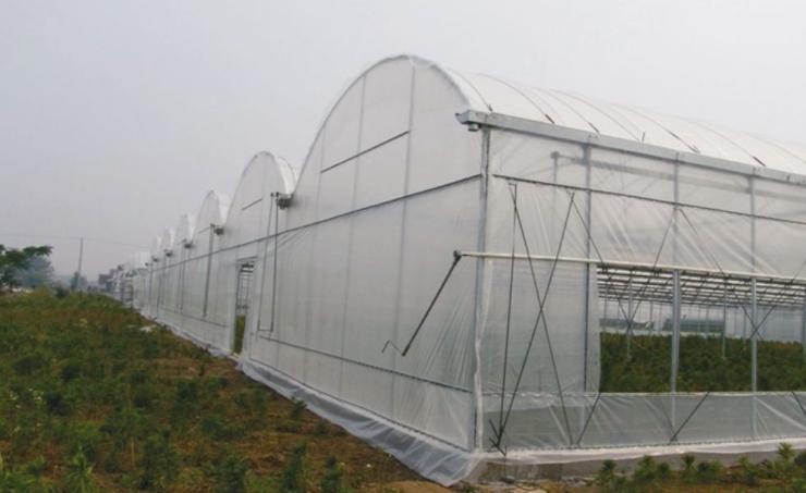 新闻:舟山普陀连栋大棚管舟山普陀蔬菜温室大棚 椭圆管大棚30*80