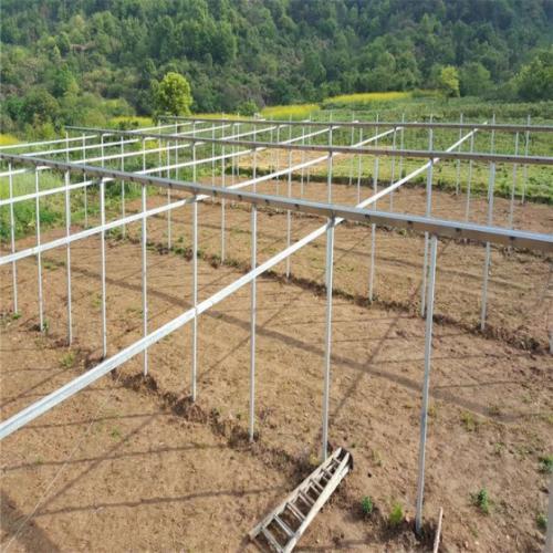 新聞:湘西永順大棚管湘西永順果樹大棚管湘西永順果樹大棚鋼管構造圖