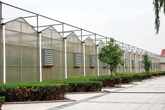 新闻:阜阳市大棚管阜阳市连体大棚管阜阳市金州牌玻璃连栋