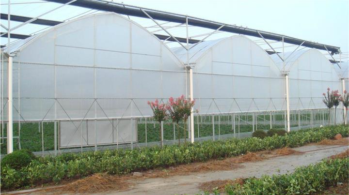 新聞:湖南婁底大棚管湖南婁底溫室大棚管大棚管哪家好又便宜