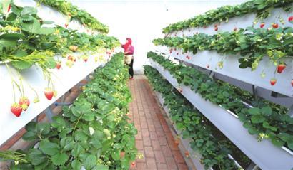 新闻:宁波鄞州大棚管宁波鄞州热镀锌大棚钢管锌层厚含锌量足的镀锌管
