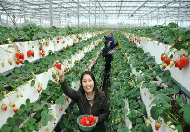 新闻:景德镇市大棚管景德镇市热镀锌大棚钢管锌层厚含锌量足的镀锌管