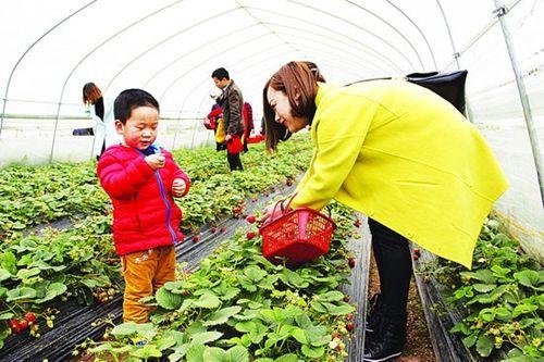 新闻:衢州江山大棚管衢州江山热镀锌大棚钢管锌层厚含锌量足的镀锌管
