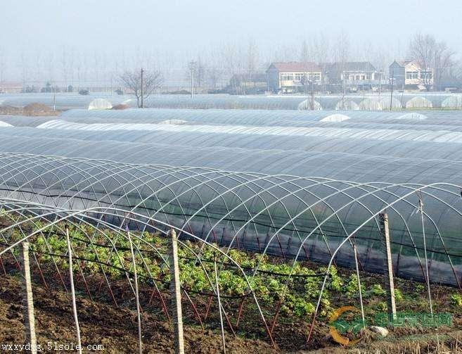 新闻:南京市大棚管南京市国强牌牛头牌大棚管拱管草莓棚4分-8寸