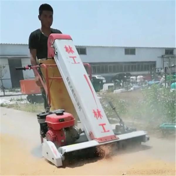 豸 600_600