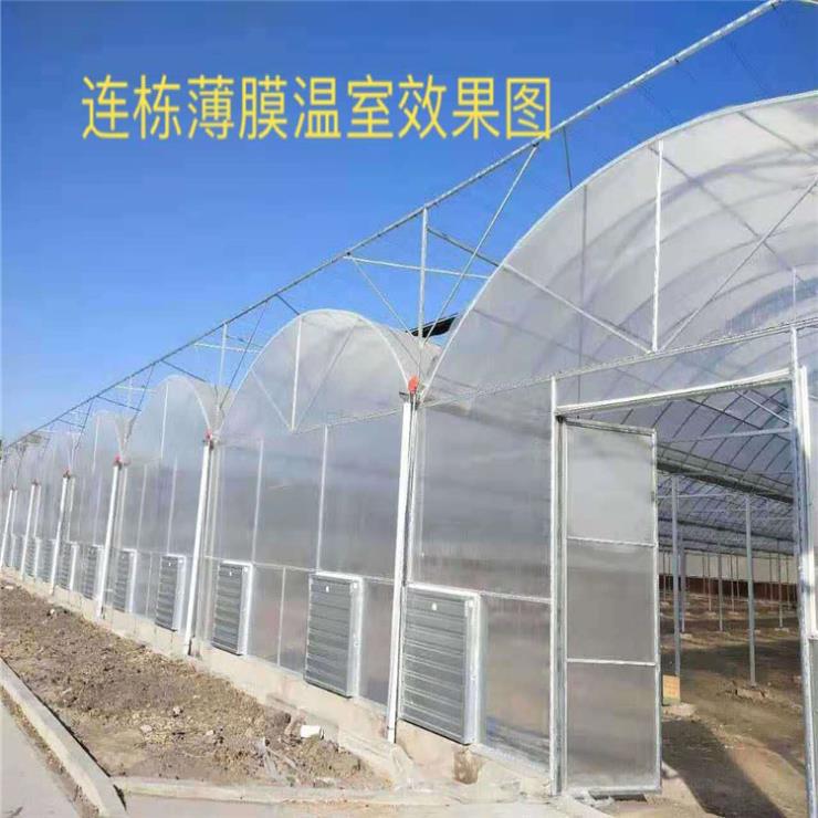 连栋薄膜温室 温室造价 大棚建设