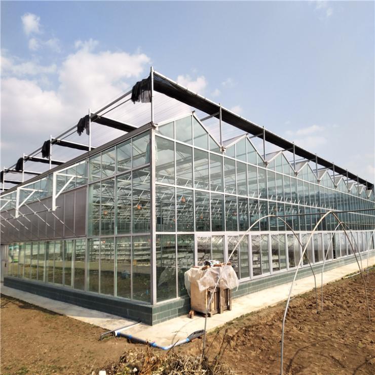 现代化大棚 阳光板温室 定制阳光板大棚 生态温室设计